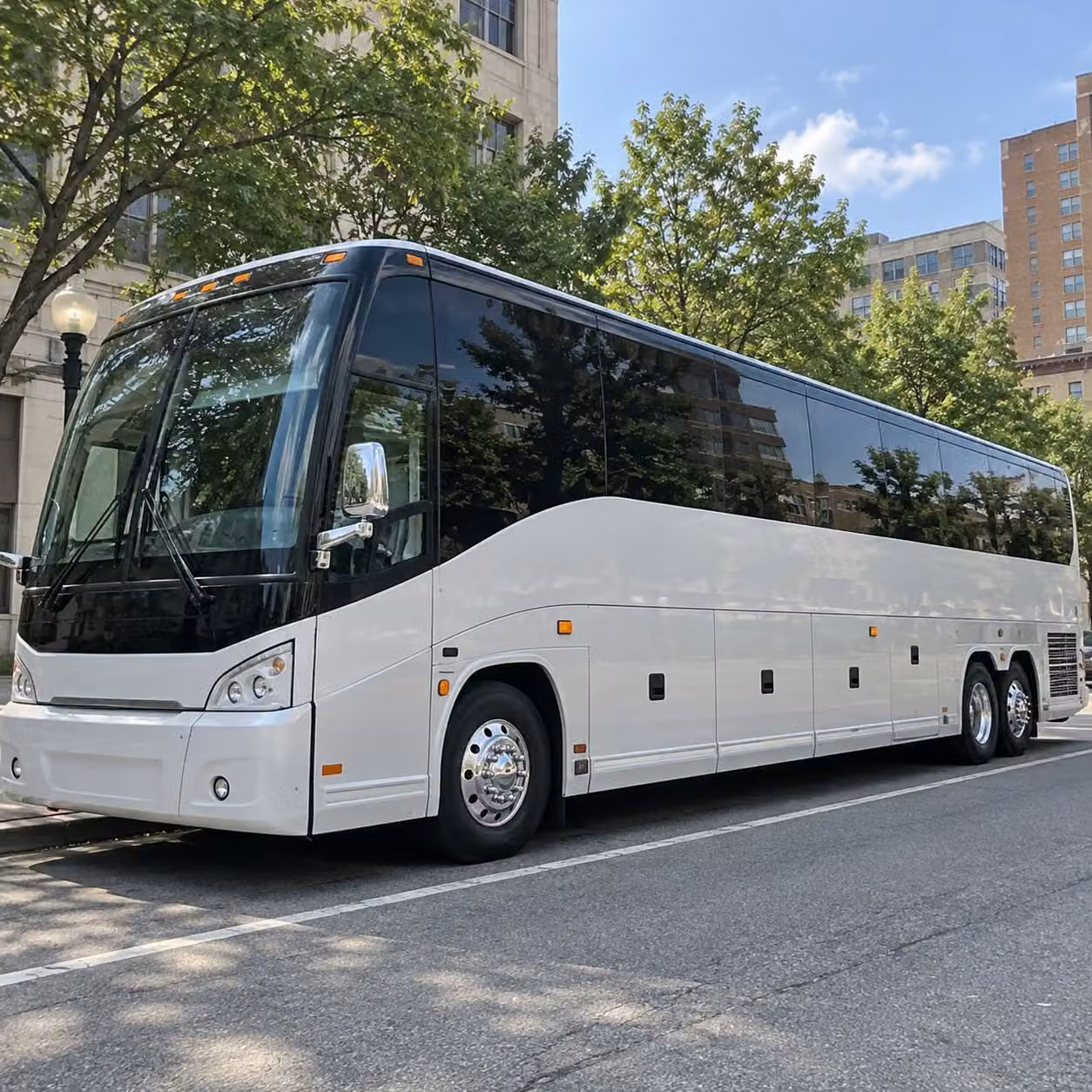 mizzou game day fan charters made easy in columbia